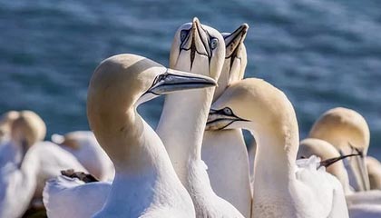 日本上调最低工资，涨幅创纪录